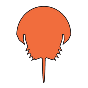 first horseshoe crab logo